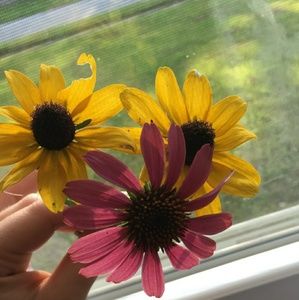 Meet your Posher, Cheyenne